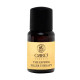Філлер Orro Venezia The Express Filler Therapy для експрес відновлення пошкодженого волосся, ампули 20х10 мл