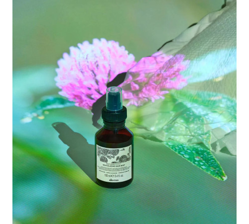 Відновлювальний спрей Davines Naturaltech Revitalizing Hair Mist для зволоження сухого волосся, 100 мл