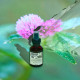 Відновлювальний спрей Davines Naturaltech Revitalizing Hair Mist для зволоження сухого волосся, 100 мл