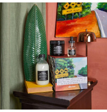 Подарунковий набір Davines The free spirit для живлення волосся