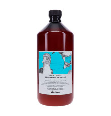 Зволожуючий шампунь Davines Natural Tech Well-Being Shampoo, 1000 мл