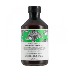 Відновлюючий шампунь для волосся Davines NaturalTech Renewing Shampoo, 250 мл