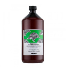 Поновлюючий шампунь для волосся Davines NaturalTech Renewing Shampoo, 1000 мл