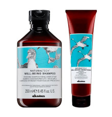 Набір Davines DUO Natural Tech Well-Being шампунь та кондиціонер для зволоження волосся, 250/150 мл