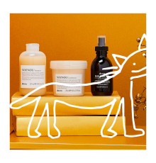 Подарунковий набір Davines Nounou Kit для живлення та ущільнення волосся, 250/250/135 мл