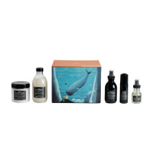 Подарунковий набір Davines OI Luxe Box 2025