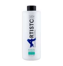 Бівалентний шампунь Elea Professional Artisto Balancing Shampoo для комбінованого типу волосся, 1000 мл