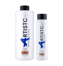 Набір Elea Artisto Balance&Control Shine DUO шампунь і кондиціонер для блиску волосся, 1000/300 мл