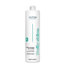Незмивний щоденний кондиціонер Envie Daily Shine Conditioner для блиску та відновлення волосся з кокосом (EN476) 200 г (розлив)