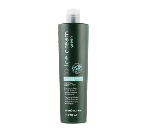 Зволожуючий шампунь Inebrya Green Moisture Gentle Shampoo для всіх типів волосся