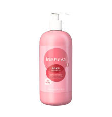 Шампунь Inebrya Prep Deep Cleansing Shampoo глибокого очищення волосся pH 7.0-7.5, 1000 мл