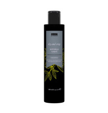 Шампунь Invidia Botoplus Karite Shampoo для пористого та кучерявого волосся з олією ши (EIN2046), 200 мл (заводська)