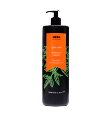 Шампунь Invidia Botoplus Argan Shampoo для фарбованого волосся з аргановою олією (EIN2049), 1000 мл (заводська)