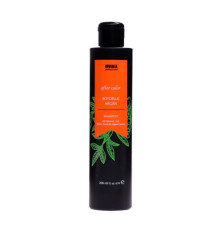 Шампунь  Invidia Botoplus Argan Shampoo шампунь для фарбованого волосся з аргановою олією (EIN2050), 200 мл (заводська)