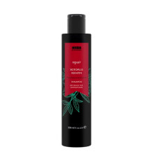 Шампунь восстанавливающий Invidia Botoplus Keratin Shampoo для поврежденных волос с кератином (EIN2042) 200 мл
