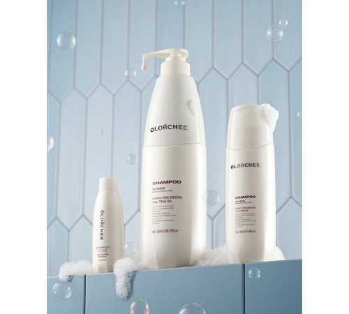 Шампунь Olorchee Anti Grease Shampoo для жирного волосся і шкіри голови 300 мл