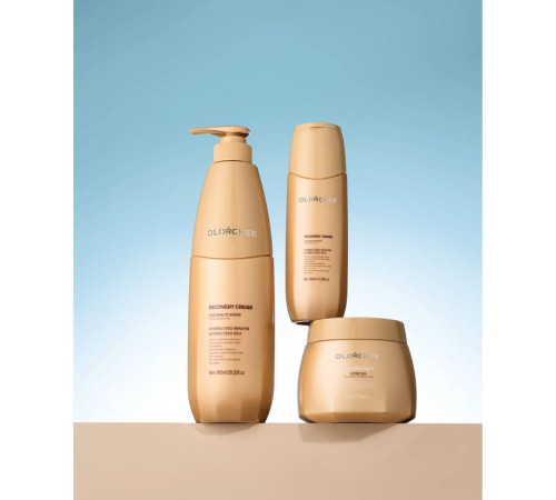 Експрес-догляд Olorchee One Minute Repair Recovery Cream для відновлення волосся 300 мл